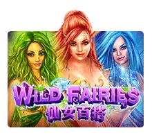 Wild Fairies