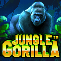 Jungle Gorilla  